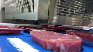 Лотки для перерабатываемых карт на двухсерийном сервоприводе серии C