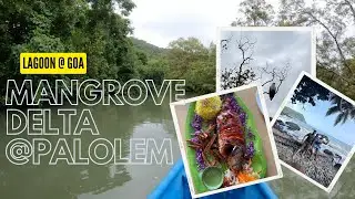Lagoon at Goa - Palolem (South Goa) . Mangrove delta.-Goa Backwaters