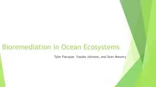 Bioremediation - ENGR 3124