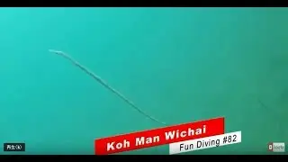 Koh Man Wichai [Fun Diving #82]