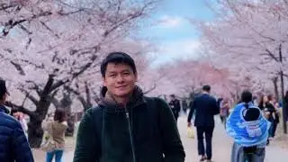 Spring in Osaka