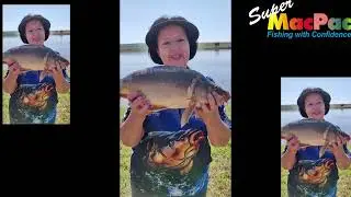 Ons hengel dam een by R50 Middelburg.