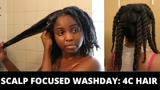 SCALP FOCUSED WASHDAY FOR MY 4C HAIR