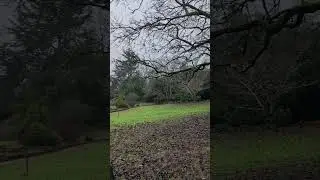 cockington village 🍃🌿