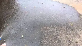 Clean remove oil gas diesel sheen rainbow stain.