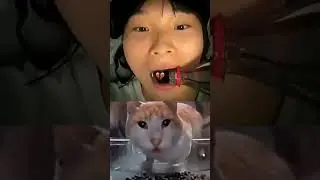 Get Ready to Laugh 11 😂 😆#shorts #youtubeshorts  #memes #viral