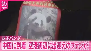 【中国に返還】双子のジャイアントパンダ  四川省の空港到着