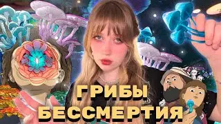 МУЛЬТСЕРИАЛ, КОТОРЫЙ ВЗОРВАЛ ИНТЕРНЕТ: ОБЗОР 