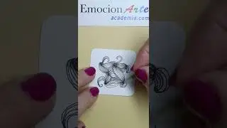 Zentangle. sombreado Ravel . #zentangle #drawing #zentagle #tangle #doodle #zentangleart