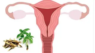 NEED HELP TREATING HORMONAL ACNE | TOPICALLY | RED CLOVER | ASHWAGANDHA