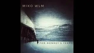 MIKO WLM - For Donkey's years 