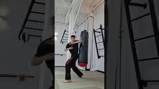 Boxsack Training www.phoenix-ffm.de #martialarts #kungfu