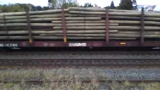 Eastbound mixed manafest leaded by NS 2674