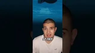 Secret Under Water Nuclear Test 😱 (gone wrong)