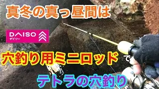 真冬の真っ昼間はダイソー穴釣り用ミニロッドで穴釣り 知多半島