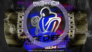 PURE CHEESE VOL 3  NEW MONKEY VOCAL CLASSICS by Project 88