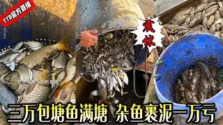 震驚 董事長包塘 三萬包塘魚滿塘，雜魚裹泥壹萬虧  #捕魚 #戶外 #viralvideos #漁兄漁弟強子