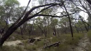 Castle Hill IWC Jumps