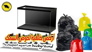 أرخص خلفية لحوض السمك