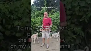 Tales about Tails #StreetDogs #RescueDogs #DogRescue  #AnimalRescue  #lovedogs #LoveDogs