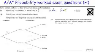 How to do Probability A/A* GCSE Maths revision Higher level worked exam (tree diagrams, conditional)