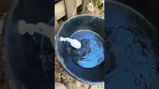 Auto watering bowl part 2 #narrowayhomestead #ducks #waterbowl