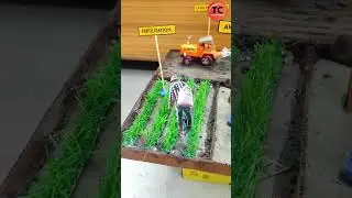 Field Days | Rice Crop Harvesting Static Model #creative #innovation #miniature