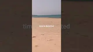 dug up a tank. beach search. откопал танк. пляжный поиск