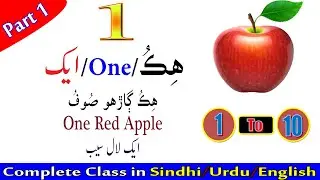 Numbers in English, Urdu and Sindhi with picture and examples || Numbers in Sindhi || Part 1