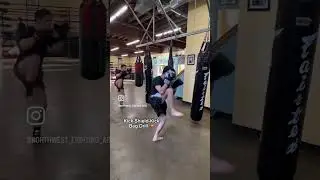 Kick-Shield-Kick Drills 💥 #muaythai #muaythaidrills #roundkick #kickboxing #striking