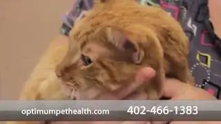 Welcome to Optimum Pet Health & Wellness Center PC