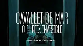 teaser 