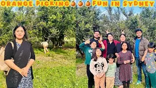 Hum Gaye Oranges Picking Karne🍊, Mazedaar Din Family Ke Saath 😍