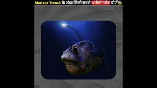 Strangest Things Found In The Mariana Trench | The Fact | #shorts