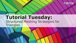 Structured Meshing Strategies for Triangular Geometry