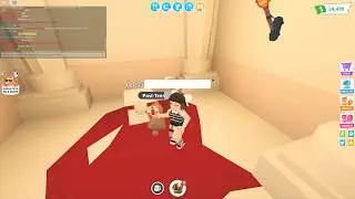What do you do with the Founders Crown? | Roblox Adopt Me
