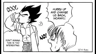 Body Switch || Vegeta x Bulma Mini Doujinshi