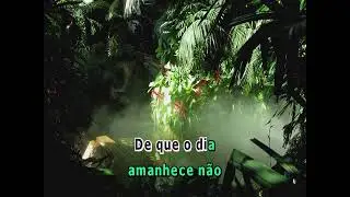 03473 - Oswaldo Montenegro - LUA E FLOR -==Karaoke&ndash;Videoke &ndash; Playback - Raf electronics