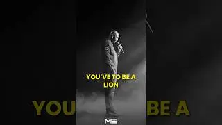 Sometimes you have to be a lion. | Dave Chappelle #davechappelle #motivation