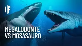 E se il Megalodonte combattesse il Mosasauro?