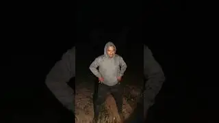 Highlight live