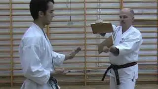 Karate Highlight 1997-2010 | Michael Piotrkowicz
