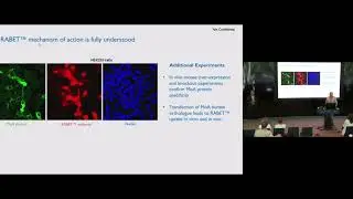 Emerging Yale Biotech Jaime Grutzendler Retinal   Brain Endothelial Targeting