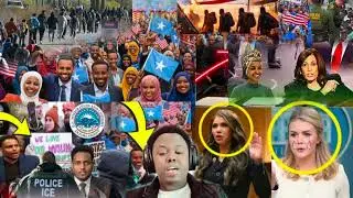 Green Card Updates: What Somali Immigrants Need to Know