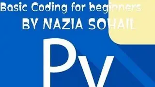 PYTHON PYROID3 PROGRAM