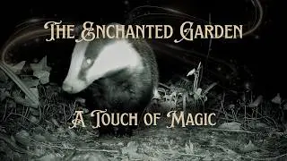 A Magical Autumn Bedtime Story ✨ Gentle Garden Mystery for Children