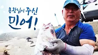 대나무 막대 바다에 넣으면 민어 울음소리가 들립니다. 빡~ 빡 빡~ 그 소리 듣고 민어 잡습니다 ㅎㅎ 그물 당길때 노래는 빠질수 없지 ㅎㅎ #민어 #섬 #재원도 #섬속의섬