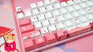 Make it thock! Is this keyboard really $15? ft. Sakura Cherry Blossom Keycaps