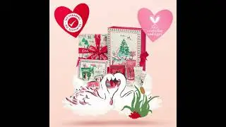 Cath Kidston Shine Bright Collection