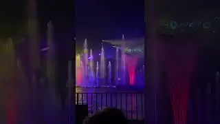 DISNEY WORLD 2025/12